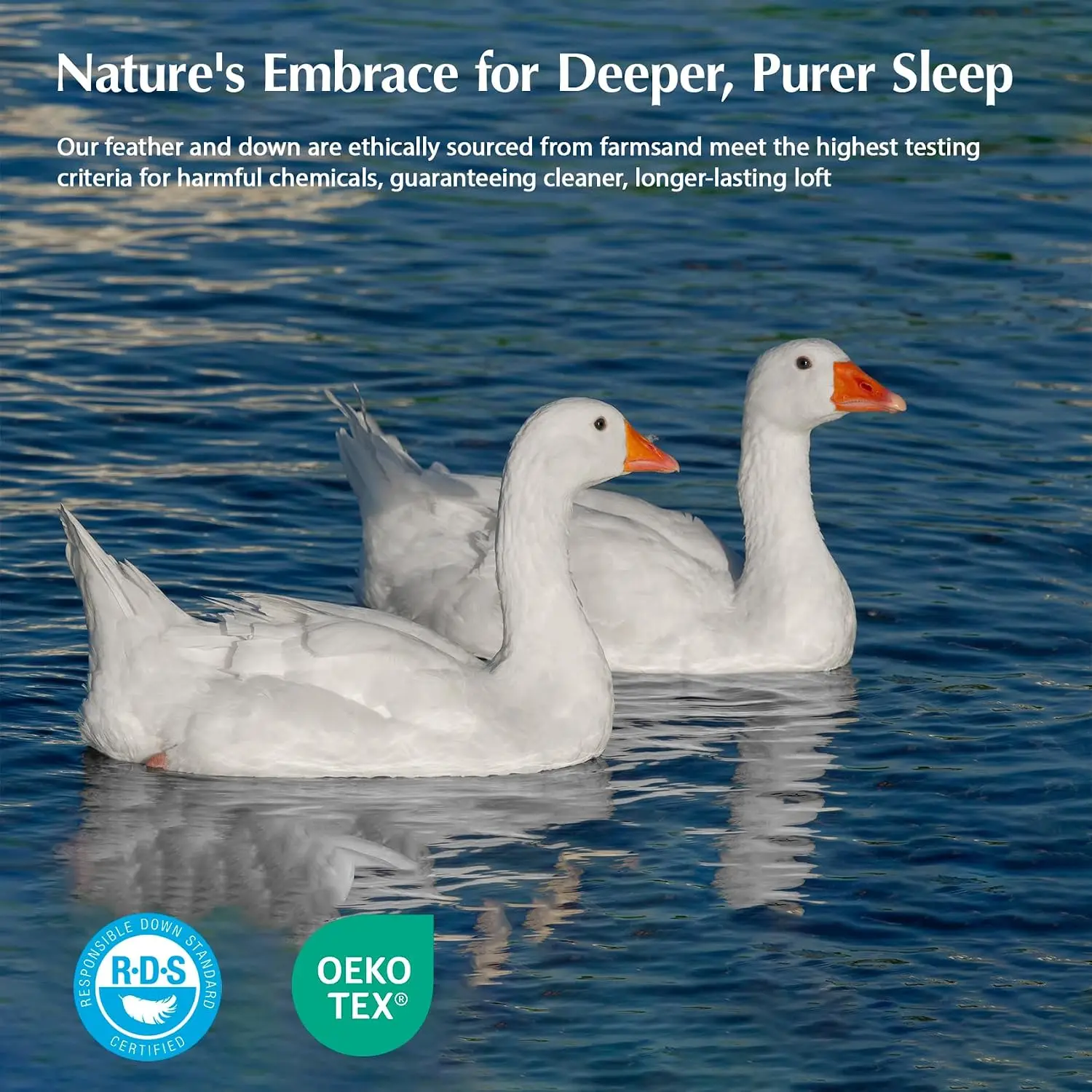 Goose Feather Down Fiber Comfo - Duvet Insert White ulasan dan harga